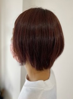 Catalog ヘアカタログ